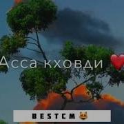 Хаза Б1Аьсте Вайна Кхечи