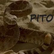 Piton2 Filmi A