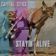 Capital Cities Stayin Alive Cover