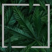 Gang Green Feat Royce Da 5 9 Iceyy Royce 5 9