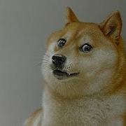 Wow Doge Dog Meme 3D Drawing