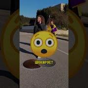Оииаи Омиаи Непрерывно Кот
