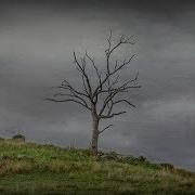 Lovecraft The Tree On The Hill