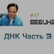 Днк Часть 3 Начало Вебинар Lee