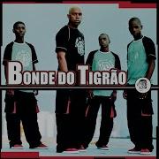 O Baile Todo Bonde Do Tigrao Remix