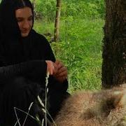 Кавказские Подвижницы Слушать