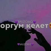 Таппай Сенден Лучше Коргум Келет Чаще