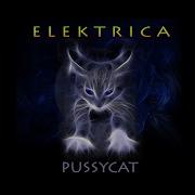 Elektrica Pussycat Instrumental Mix