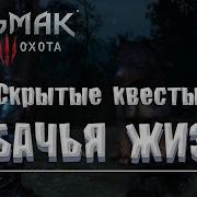 Ведьмак 3 Скрытый Квест Собачья Жизнь