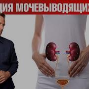 Исцеление Мочеполовой Системы