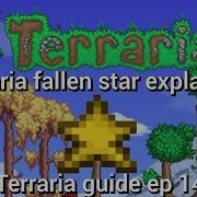 Terraris Fallen Star