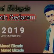 Murad Elizade Cixib Gederem