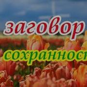 Заговор На Сохранность