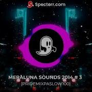 Meraluna Sounds 2014 3 Pridemixpaslow100