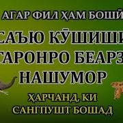 Достони Бисёр Ҳам Ибратомӯзи Сухтор Ва Гунҷишку Сангпушт