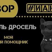 Колонка В Виде Собаки