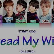 Stray Kids Spread My Wings Lyrics Ot8