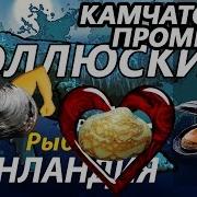 Камчатский Промысел Моллюски Мускулас Сердцевидка Мидия Рр3 Русская