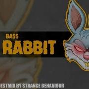 Bass Rabbit