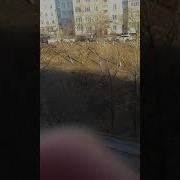 Я Каралева Ты Вы Все Гавно