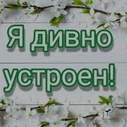 Я Дивно Устроен И Славлю Тебя Бальжик Детская Песня Хвалы