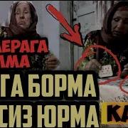 Мома Фолчи Ичига Жин Кирган