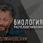 Илья Колмановский Лекции