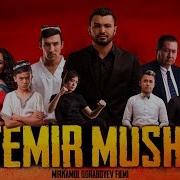 Temir Musht