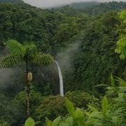 Amazzonia