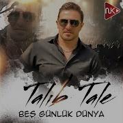 Azeri Bass Talib Tale Bes Gunluk