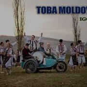 Toba Moldovanului Cuciuc