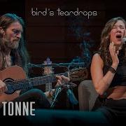 Bird S Teardrops Estas Tonne Mix