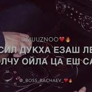Новая Песня Чеченец Поёт И Вайшина Маьрза Безам