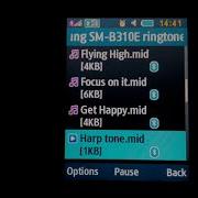 Samsung B310E Ringtone In A Circle