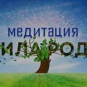 Медитация Прощения Рода