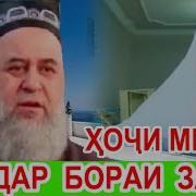 Хочи Мирзо Хурмати Зан 2019