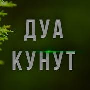 Кунут Дубасы