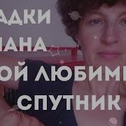 Харуки Мураками Мой Любимый Спутник