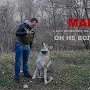 Макс Он Не Волкособ