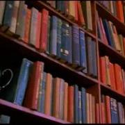 Jumanji Style Part 15 Stampede