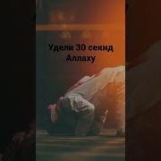 Нашид Проснись И Молись О Раб Аллаха