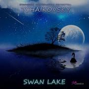 Swan Lake Op 20 Act 3 Appendix 1 Pas De Deux Moderato Andante