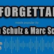 Robin Schulz Marc Scibilia Unforgettable Instrumental Version Karaoke