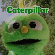 Caterpillar Song