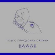 Псы С Городских Окраин Наадя