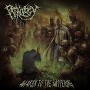 Pathology Awaken To The Suffering Full Album