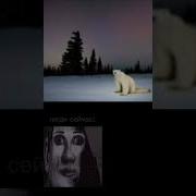 Этот Мир Для Нас Меме