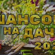 Шансон Дачный 2022