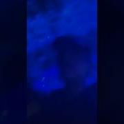 Loco Og Rocka Snippet