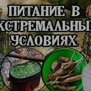 Дикоросы И Питание